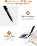 JUSART Miniature Paint Brushes 12 PCS, Fine Tip Model Paint Brushes, Black